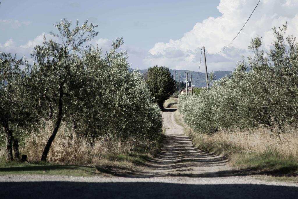 Вилла Tenuta Di Colle Alberti Agriturismo Черрето-Гвиди Экстерьер фото