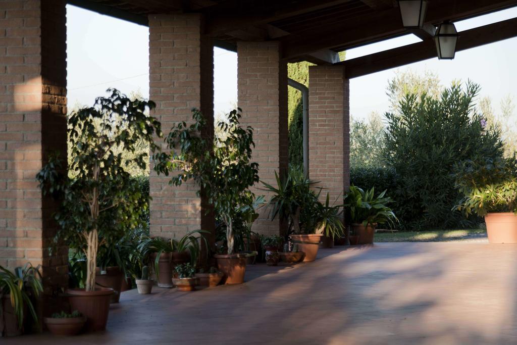 Вилла Tenuta Di Colle Alberti Agriturismo Черрето-Гвиди Экстерьер фото